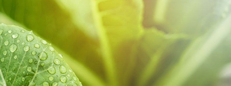 Diversity and Inclusion