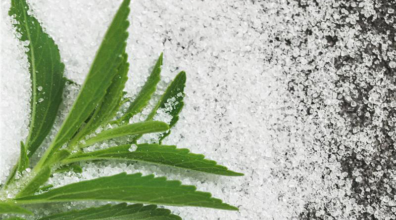 A green plant laying on top of white sugar