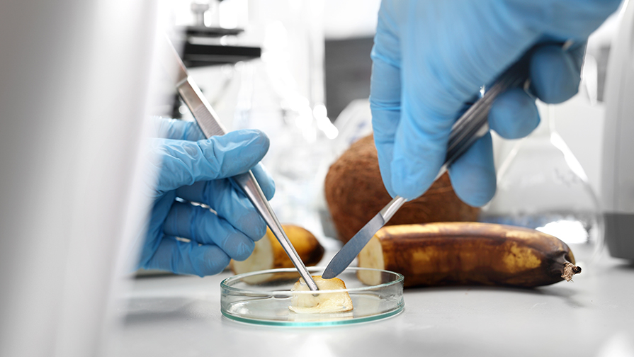 Food Engineering division