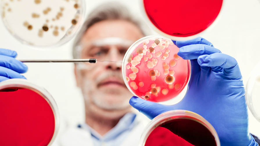 Food Microbiology division