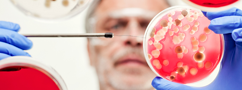 Explore Food Science