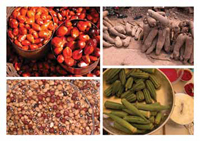 Palmnuts, yams, okra, and cowpeas (clockwise from top right) are some of Africa&rsquo;s indigenous ingredients providing the multilayered tastes & textures of African cuisines.