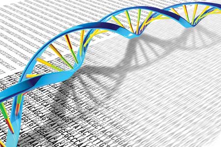 DNA sequencing