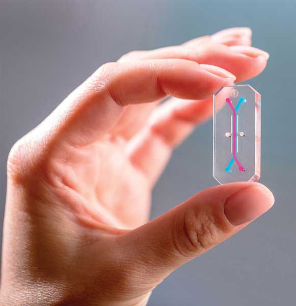 Emulate Inc.&rsquo;s organs-on-chips.