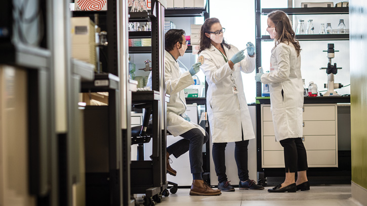 food scientists in the lab