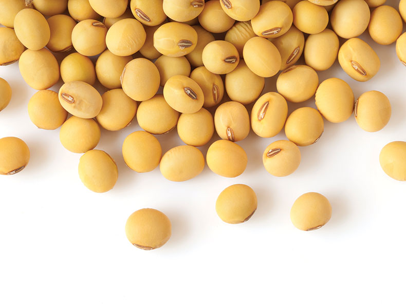 © ithinksky/E+/Getty Images Plus