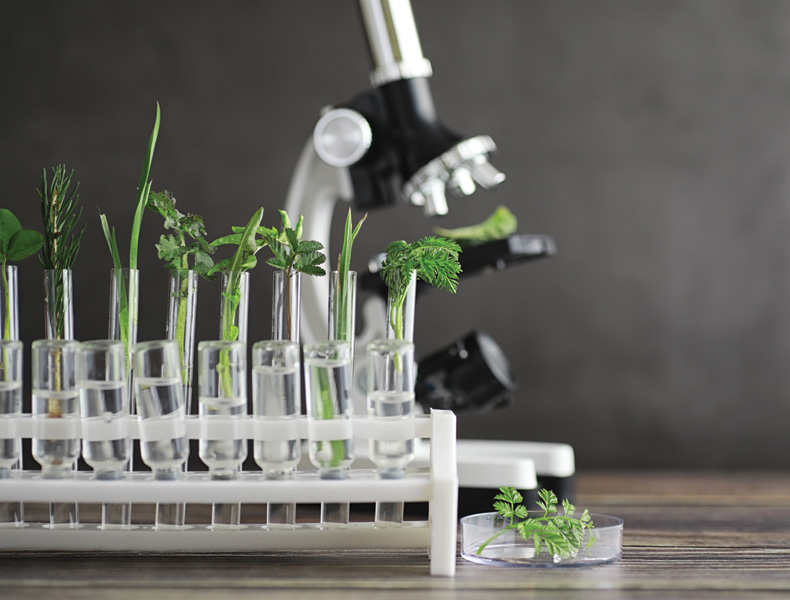 Microscope and partings on the table in the laboratory