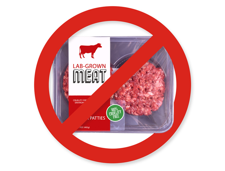 No Lab Grown Meat