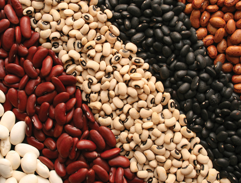 Kidney Bean; Lima Bean; Black-Eyed Pea; Black Bean;