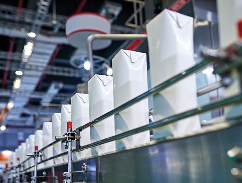 Blank Milk Carton at Production Line
