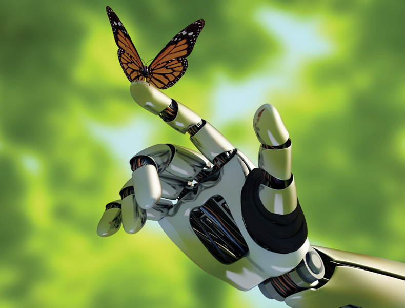 The mechanical arm and a butterfly.