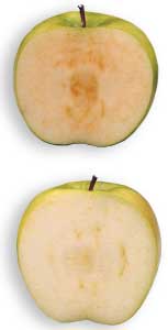 Arctic Granny (bottom) doesn&rsquo;t brown like a conventional Granny (top).