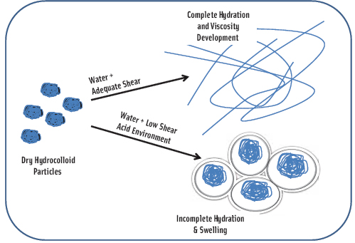 Figure 2. Complete and incomplete hydration of hydrocolloids. Complete “unfolding” is necessary for full viscosity development.