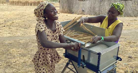Pearl millet processing in Senegal