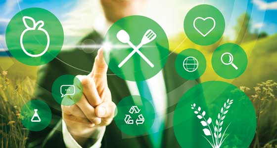 Systems approach to clean label products