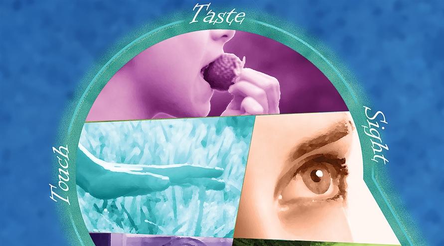 Sight, Sound, Smell, Touch, Taste