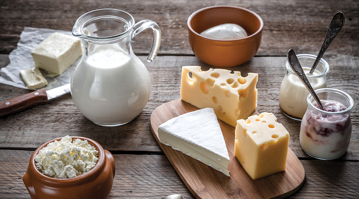 Fermented dairy products