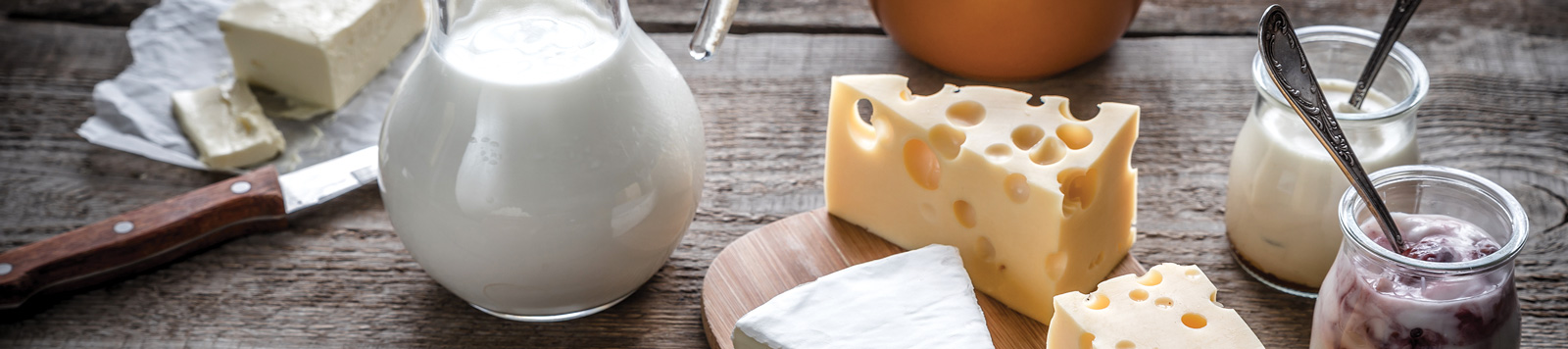 Fermented dairy products