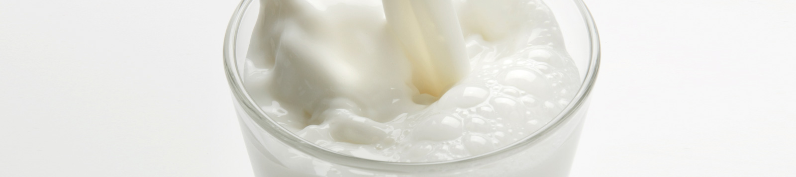 Inside Academia: The Dairy Chronicles