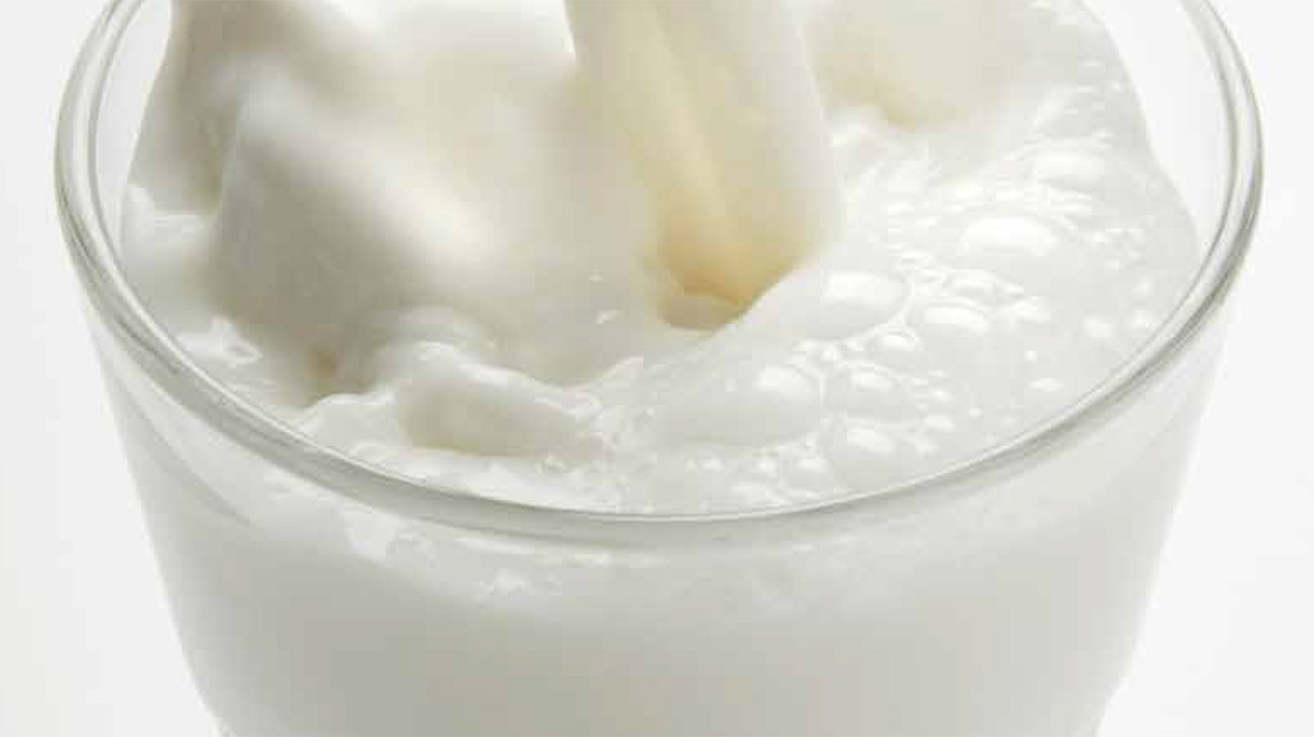 Inside Academia: The Dairy Chronicles