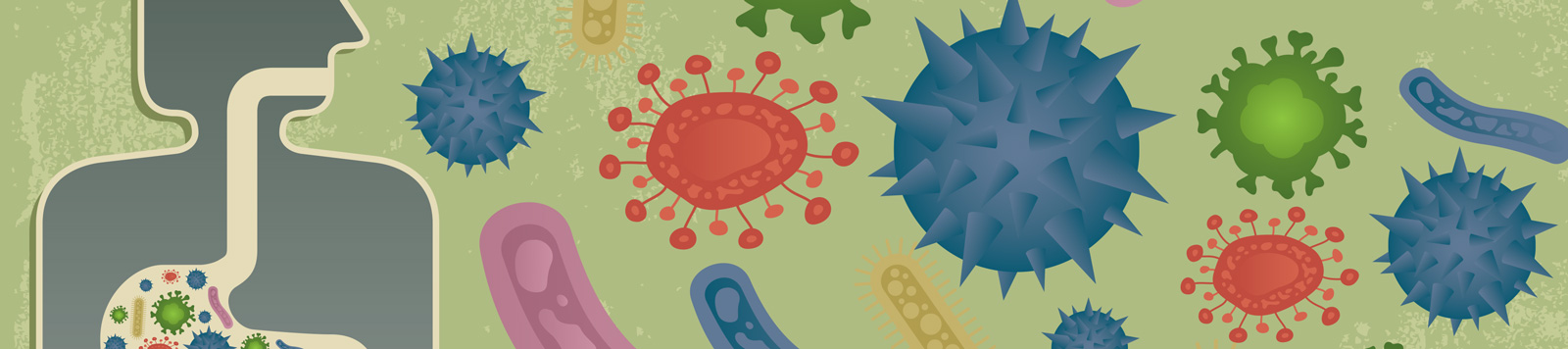 Feeding the Gut Microbiome