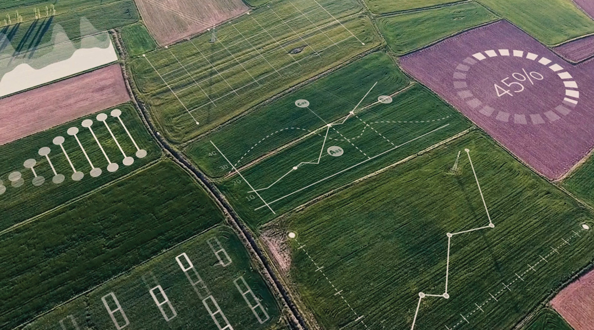 Digital Crop Nutrition