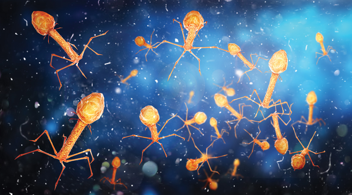 bacteriophages