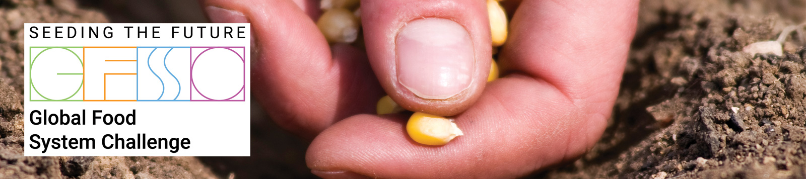 Seeding The Future Global Food System Challenge