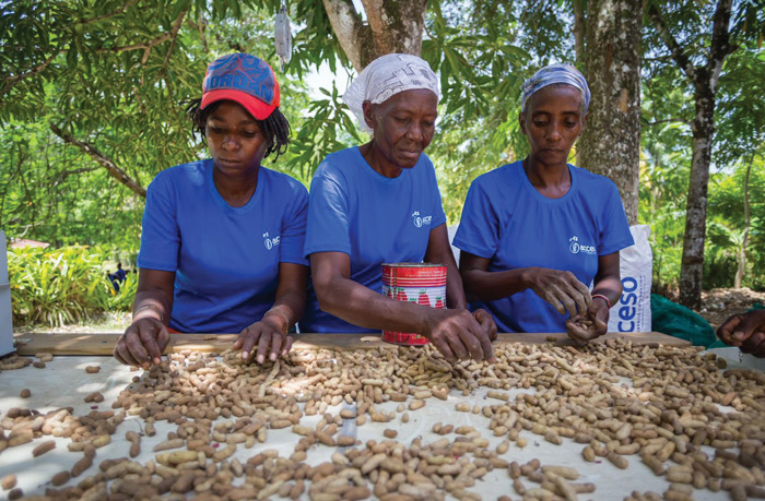 Photo courtesy of Acceso