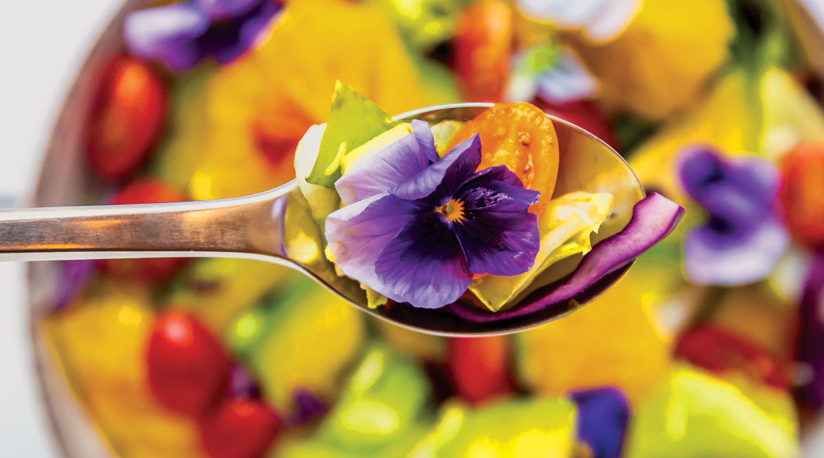 Spoon of mixed salad with avocado, tomatoes and edible flower