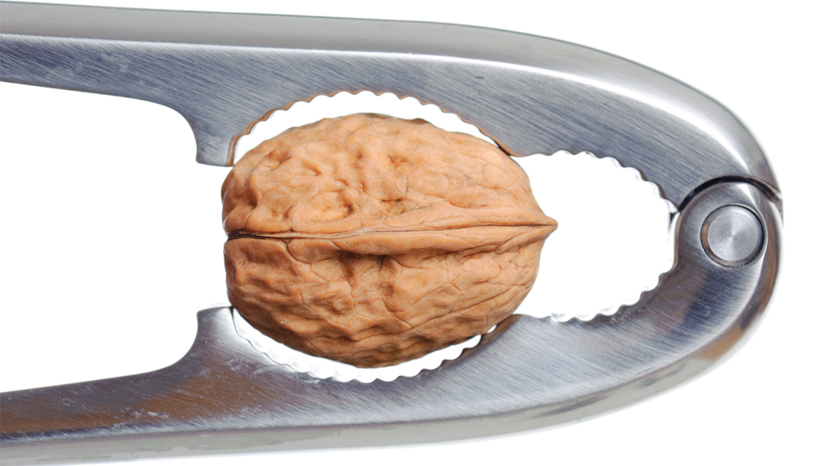 Nutcracker and walnut