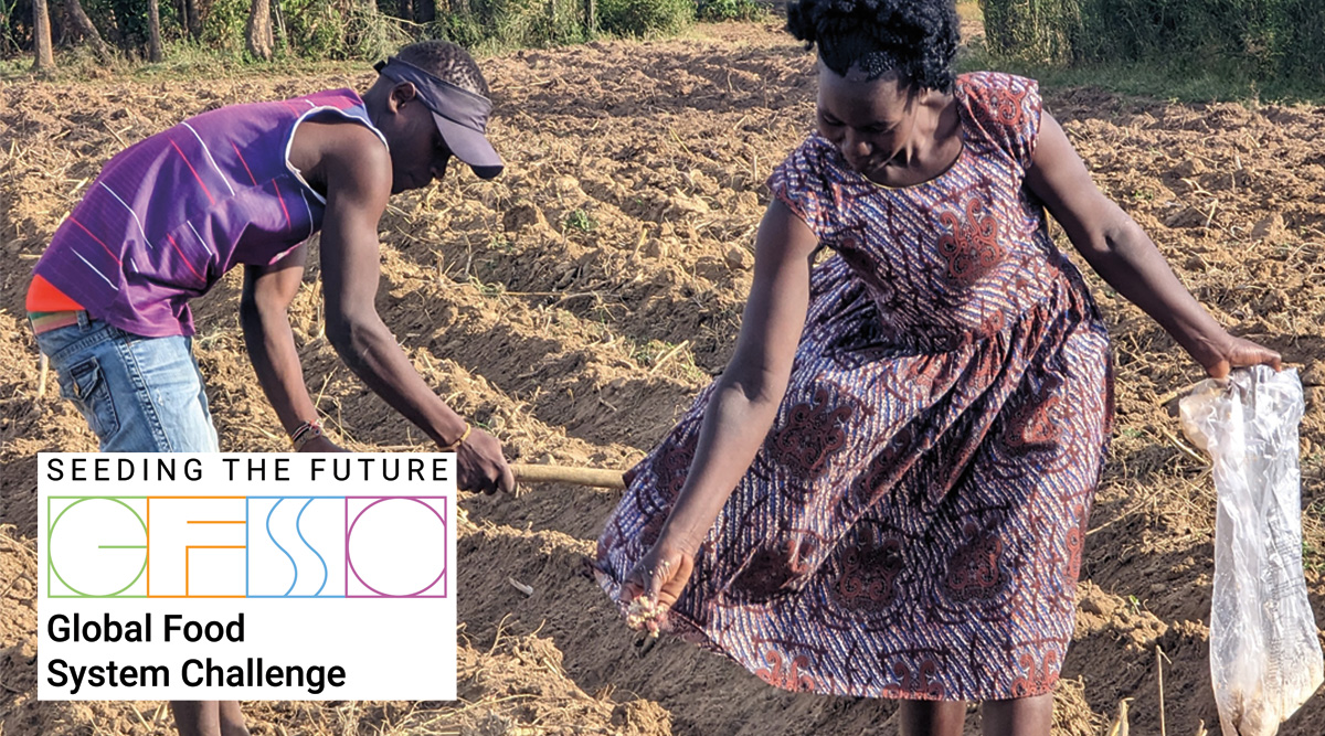 A fungal herbicide supplied by the Toothpick Company allows farmers in Africa to combat a pervasive threat to crops