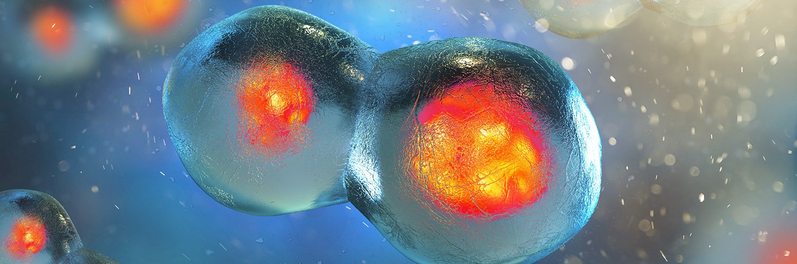 Renew IFT Membership Background Image