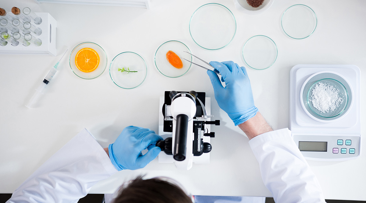 A food scientist in the lab examining ingredients in Petri dishes under a microscope