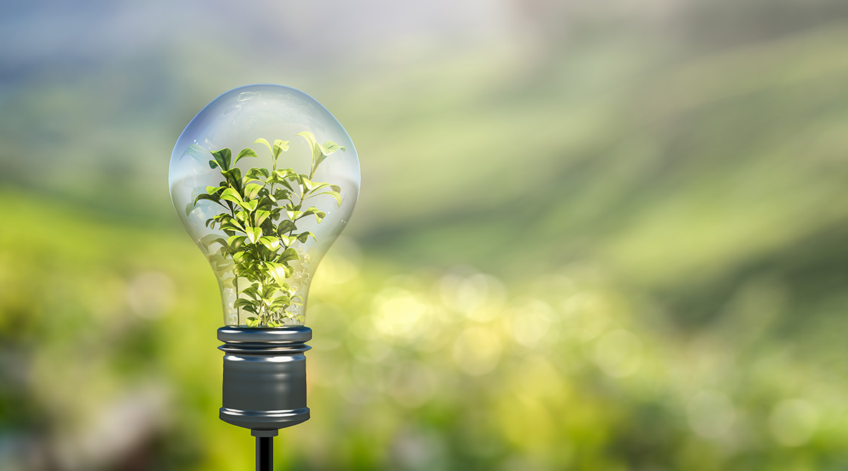 A light bulb in a field with a plant growing inside.