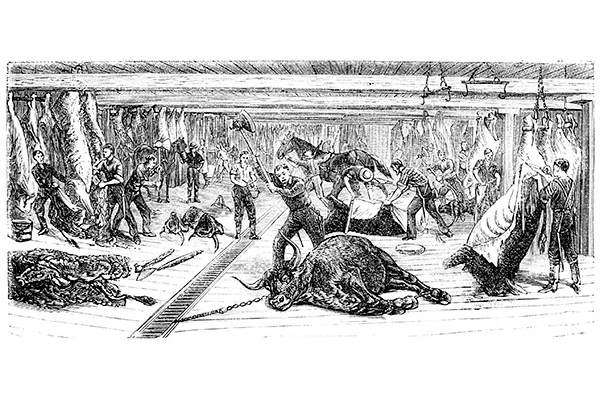 History on Food Safety