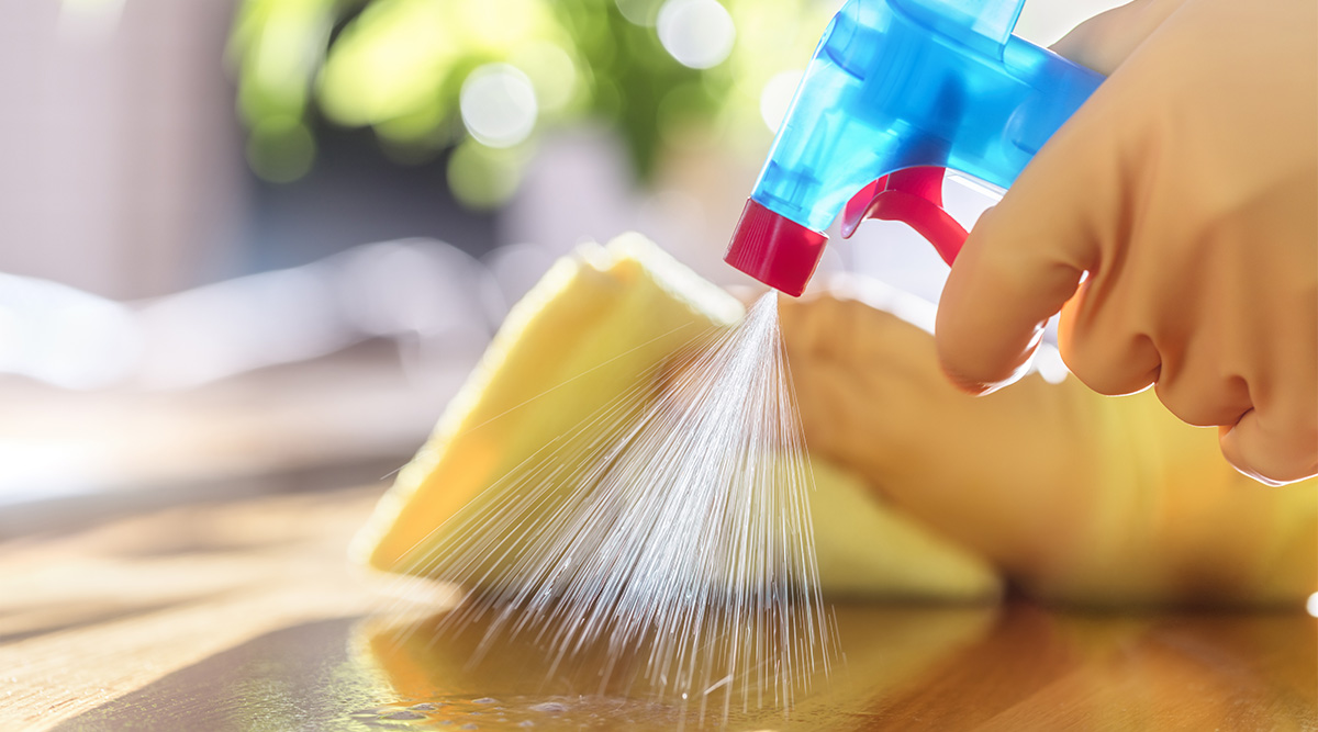 Clean Countertops Before Packing Lunch to Maintain Food Safety