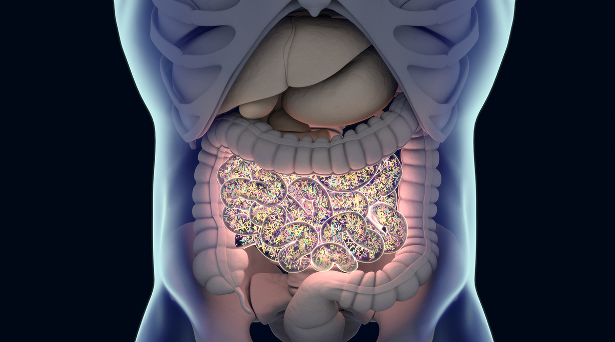 Advocacy Digestive Tract